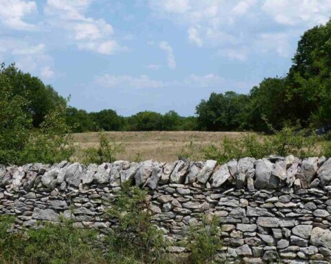 Muro di confine