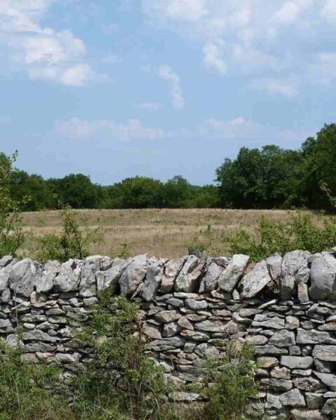 Muro di confine