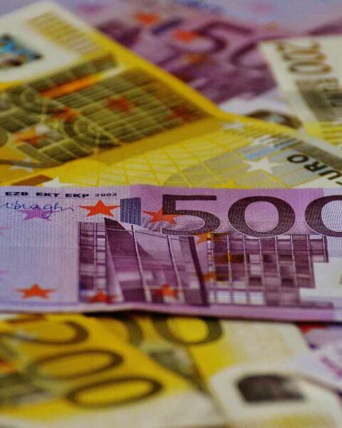 Bancarotta e concorso dei sindaci
