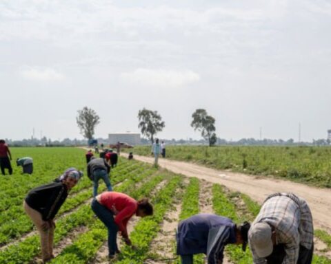 Risultanze di indagini preliminari, possono essere impiegate in una causa civile di lavoro?