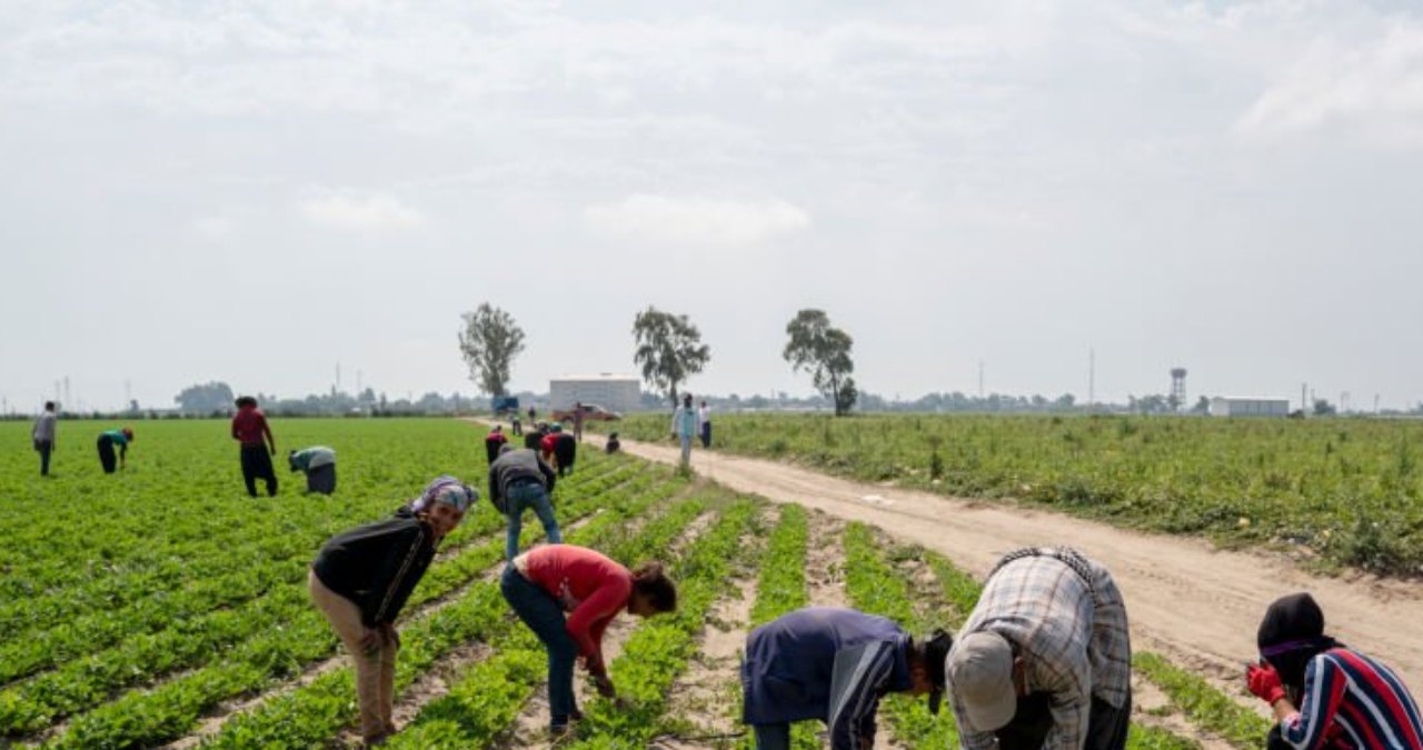Risultanze di indagini preliminari, possono essere impiegate in una causa civile di lavoro?