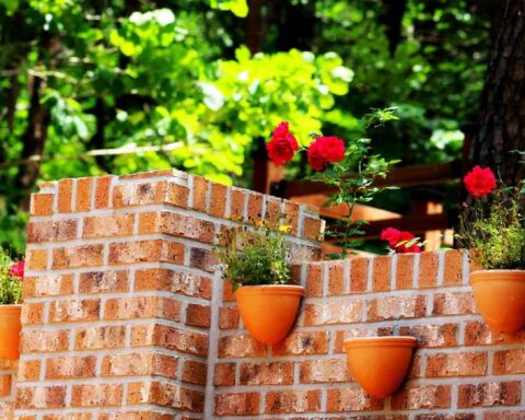 muro di confine