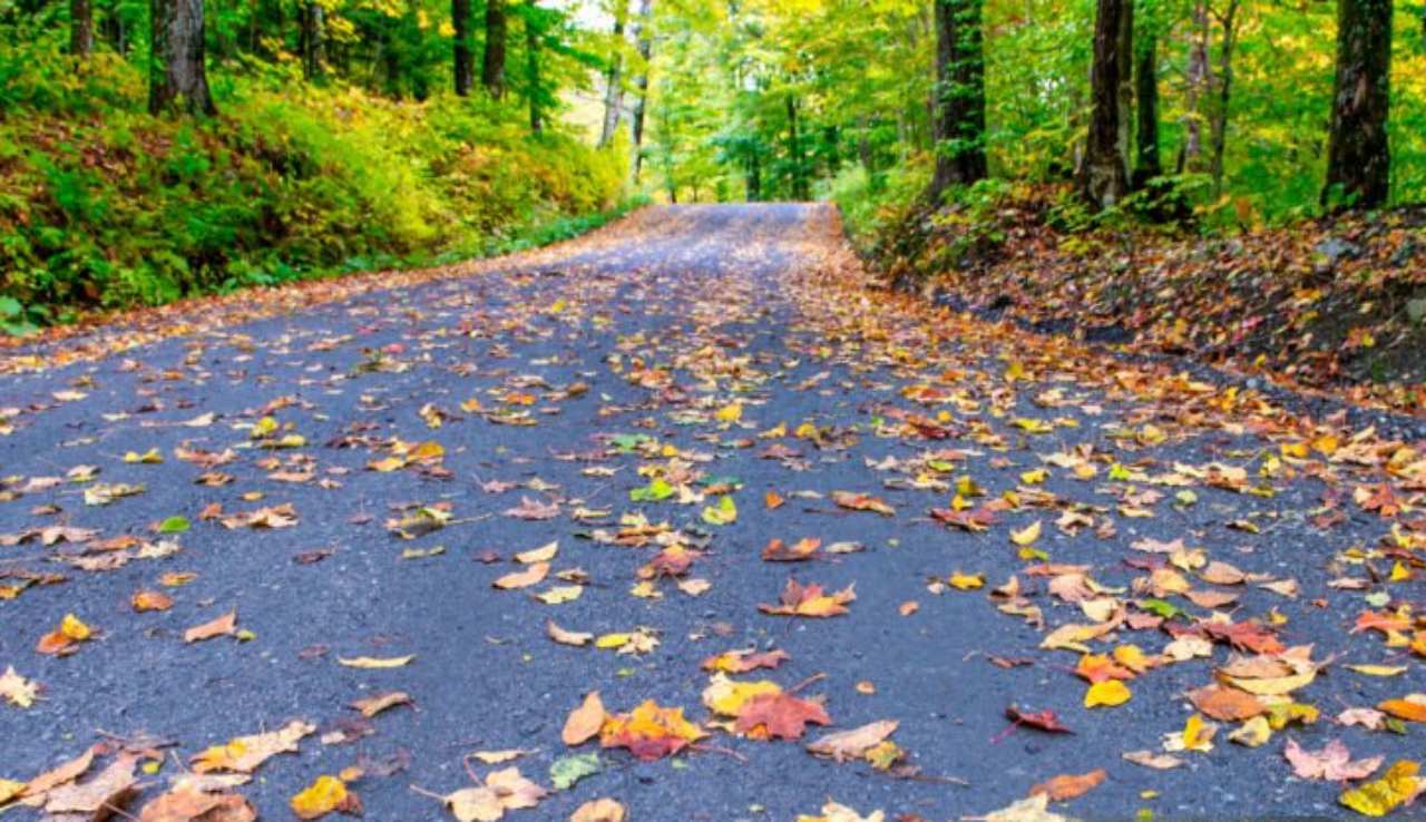 La pulizia del fondo servente è necessaria, ma su chi gravano le spese?