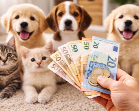 bonus animali