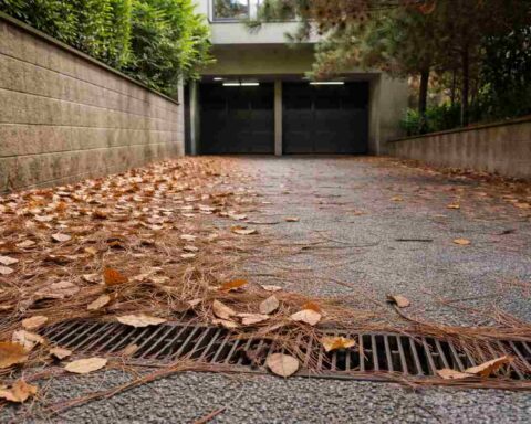 servitù di passaggio foglie