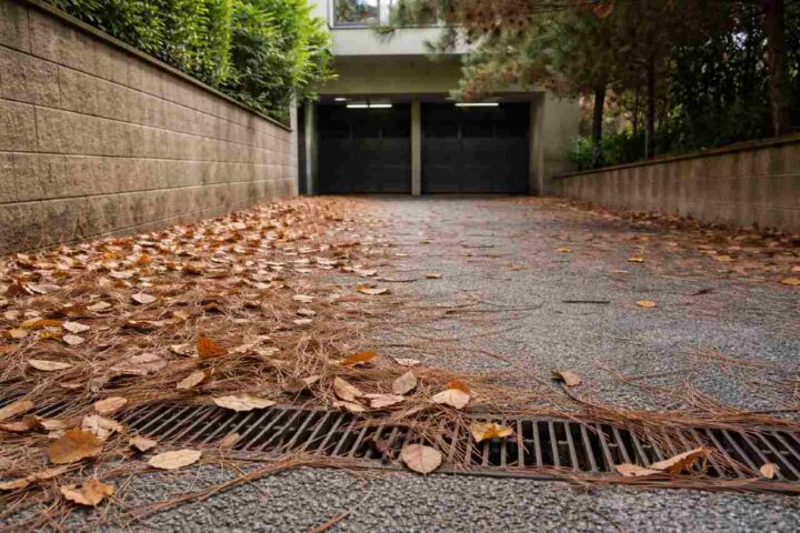 servitù di passaggio foglie